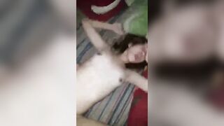 video-1549173255
