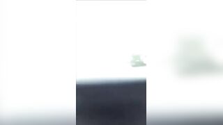 video-1549371074