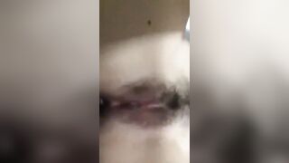 video-1550149216
