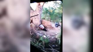 video-1553430442