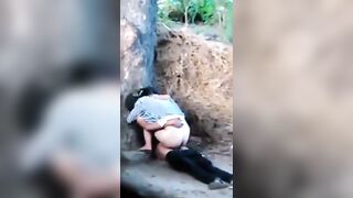 video-1553430442