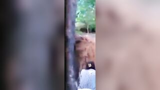 video-1553430442