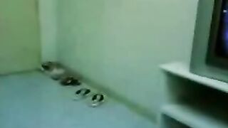 Nobyang maganda na bagong shower sarap katutin