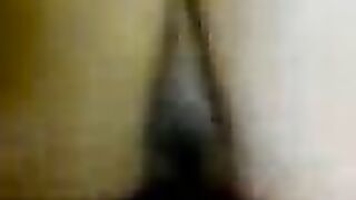 Quirinofull 2