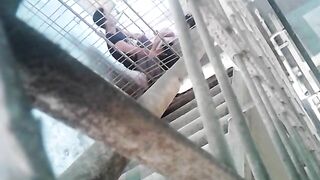 New Bagito of 2015 Viral sa FB